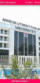 Mobile version image